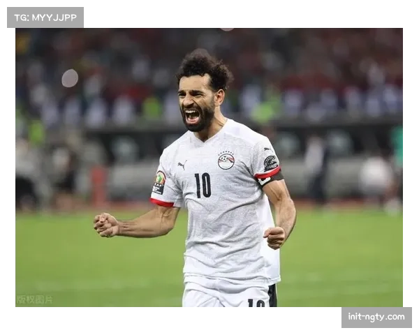 非洲举重锦标赛：埃及队统治奖牌榜，获满额奥运门票